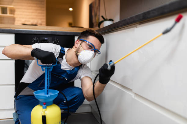 Best Pest Removal Services  in Homewood, SC