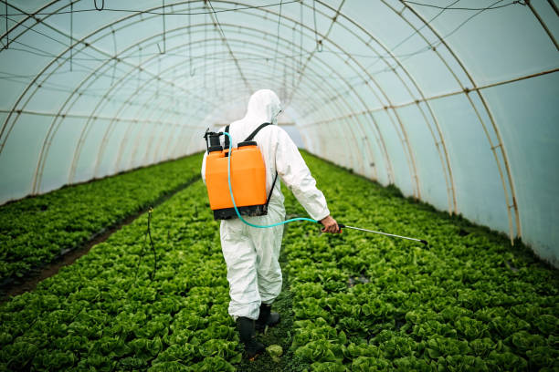Best Pest Prevention Services  in Homewood, SC