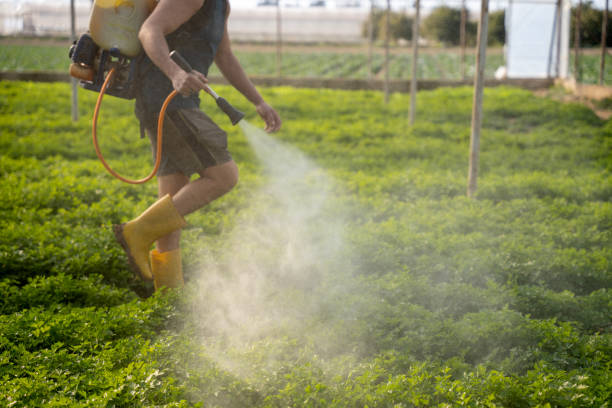 Best Commercial Pest Control Services  in Homewood, SC