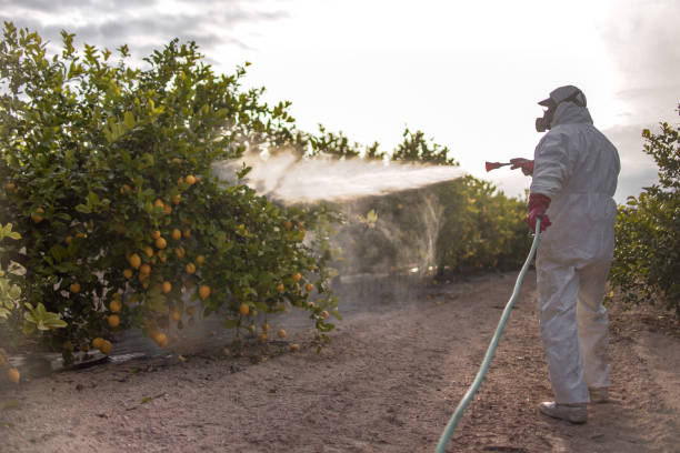 Pest Prevention Services in Homewood, SC