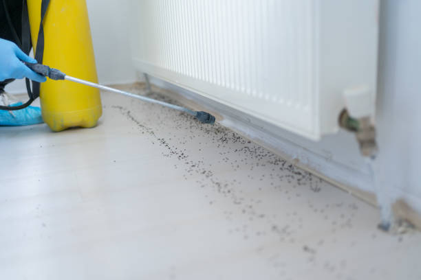 Best Bed Bug Extermination  in Homewood, SC